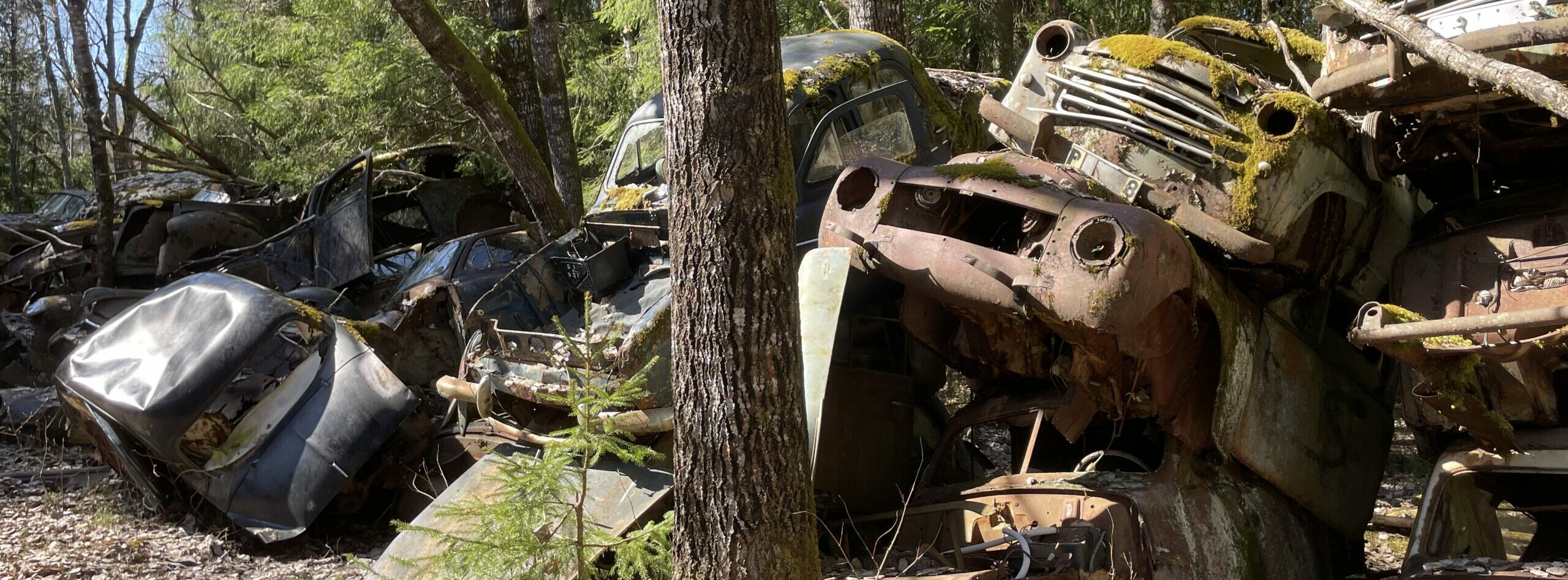 En förbrukad Alfa Romeo-Alfasud återvinns genom bildemontering i Lilla Edet